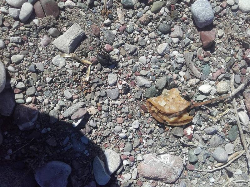 21762125_1429633443787075_4057986950680710032_n<span class="bsf-rt-reading-time"><span class="bsf-rt-display-label" prefix="Χρόνος ανάγνωσης"></span> <span class="bsf-rt-display-time" reading_time="2"></span> <span class="bsf-rt-display-postfix" postfix="Λεπτά"></span></span><!-- .bsf-rt-reading-time -->