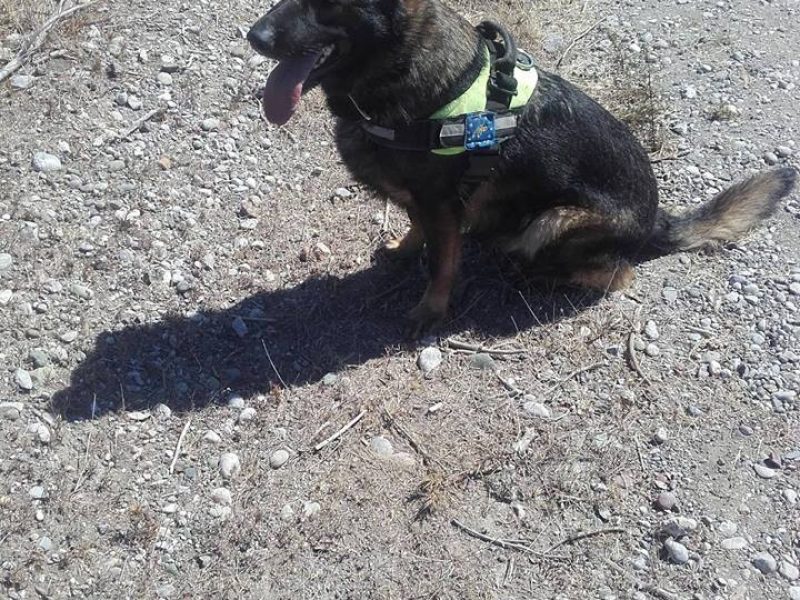 21764741_1429633833787036_1095951210740632805_n<span class="bsf-rt-reading-time"><span class="bsf-rt-display-label" prefix="Χρόνος ανάγνωσης"></span> <span class="bsf-rt-display-time" reading_time="2"></span> <span class="bsf-rt-display-postfix" postfix="Λεπτά"></span></span><!-- .bsf-rt-reading-time -->