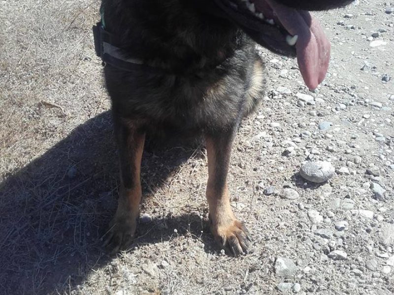 21765186_1429633273787092_2300588998823672204_n-2<span class="bsf-rt-reading-time"><span class="bsf-rt-display-label" prefix="Χρόνος ανάγνωσης"></span> <span class="bsf-rt-display-time" reading_time="2"></span> <span class="bsf-rt-display-postfix" postfix="Λεπτά"></span></span><!-- .bsf-rt-reading-time -->