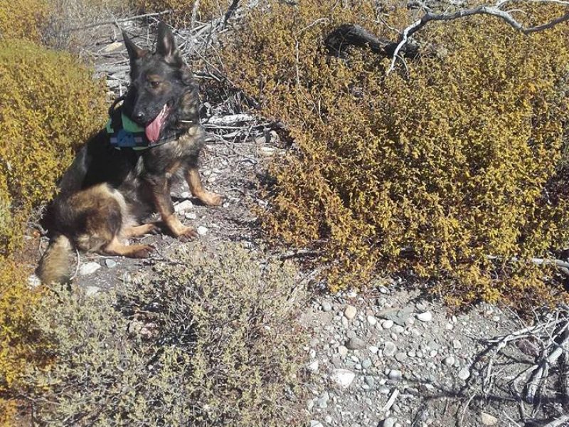 21765269_1429633310453755_4665546375314718311_n-2<span class="bsf-rt-reading-time"><span class="bsf-rt-display-label" prefix="Χρόνος ανάγνωσης"></span> <span class="bsf-rt-display-time" reading_time="2"></span> <span class="bsf-rt-display-postfix" postfix="Λεπτά"></span></span><!-- .bsf-rt-reading-time -->