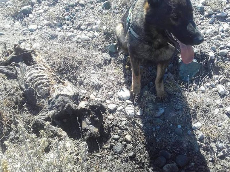 21766403_1429633290453757_4768747279644151412_n<span class="bsf-rt-reading-time"><span class="bsf-rt-display-label" prefix="Χρόνος ανάγνωσης"></span> <span class="bsf-rt-display-time" reading_time="2"></span> <span class="bsf-rt-display-postfix" postfix="Λεπτά"></span></span><!-- .bsf-rt-reading-time -->