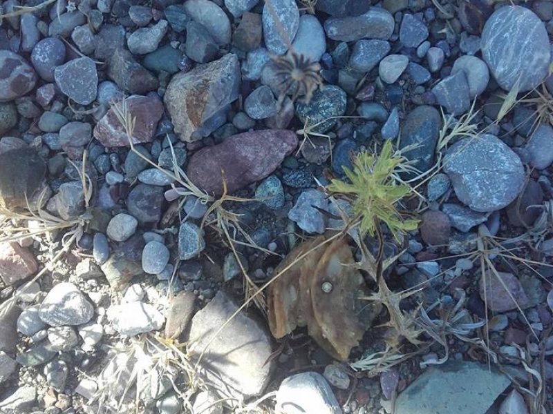 21766727_1429633870453699_4278917003035774084_n<span class="bsf-rt-reading-time"><span class="bsf-rt-display-label" prefix="Χρόνος ανάγνωσης"></span> <span class="bsf-rt-display-time" reading_time="2"></span> <span class="bsf-rt-display-postfix" postfix="Λεπτά"></span></span><!-- .bsf-rt-reading-time -->