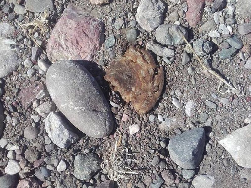 22007484_1429633463787073_5169553468204583151_n<span class="bsf-rt-reading-time"><span class="bsf-rt-display-label" prefix="Χρόνος ανάγνωσης"></span> <span class="bsf-rt-display-time" reading_time="2"></span> <span class="bsf-rt-display-postfix" postfix="Λεπτά"></span></span><!-- .bsf-rt-reading-time -->