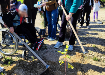 Συνολικά 2.635 παιδιά φύτεψαν φέτος το δικό τους δεντράκι στα καμένα Συνολικά 2.635 παιδιά φύτεψαν φέτος το δικό τους δεντράκι στα καμένα