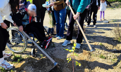 Συνολικά 2.635 παιδιά φύτεψαν φέτος το δικό τους δεντράκι στα καμένα
