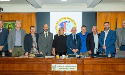 Προτάσεις της Πανελλήνιας Ομοσπονδίας Εκπαιδευτών Οδήγησης για τα πατίνια